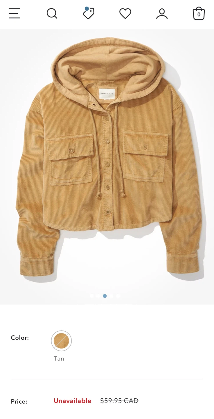 American Eagle Corduroy Button-Up Hoodie