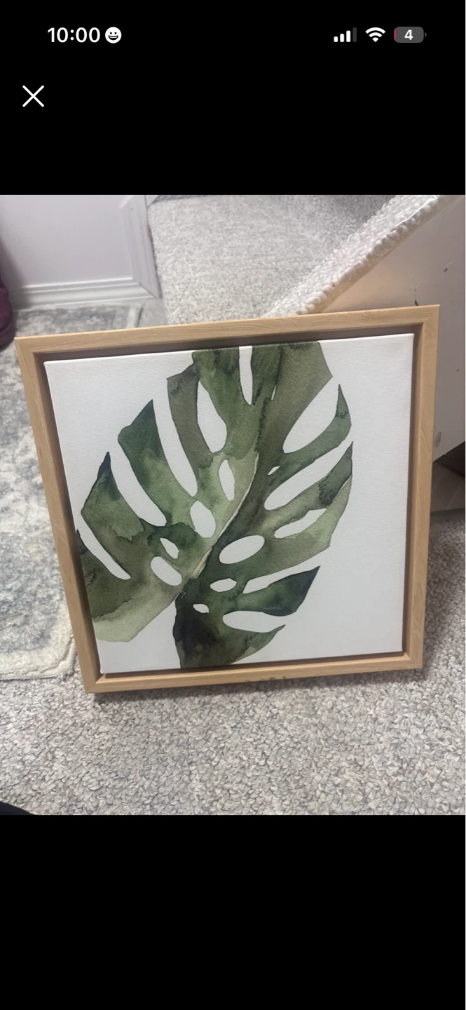 Monstera Leaf Watercolour Art Print
