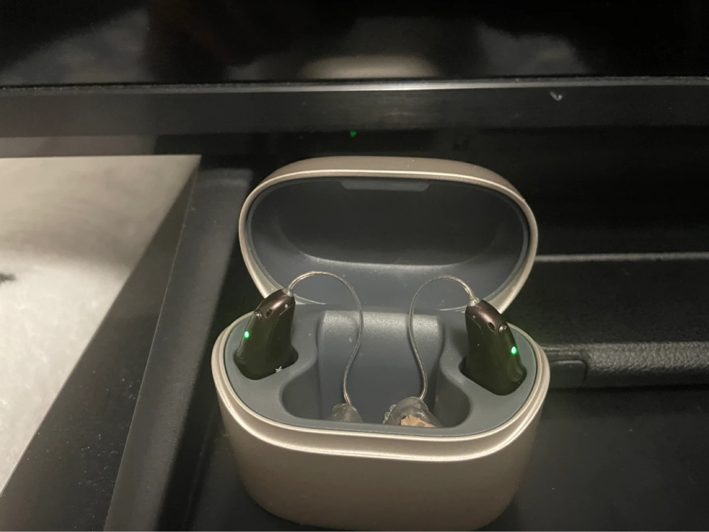 Phonak Audéo L-R/RT Hearing Aids with Charging Case