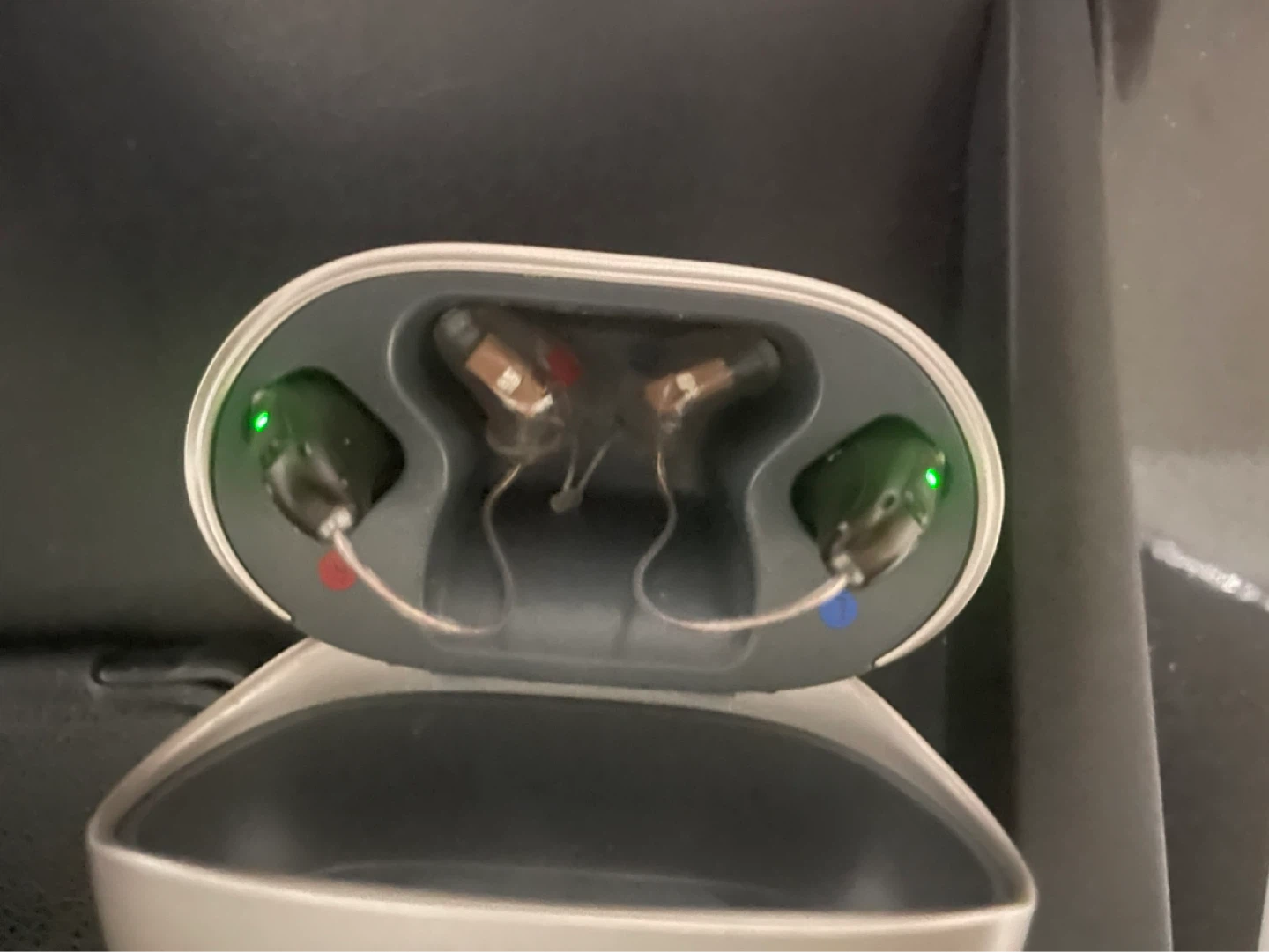 Phonak Audéo L-R/RT Hearing Aids with Charging Case - photo 2