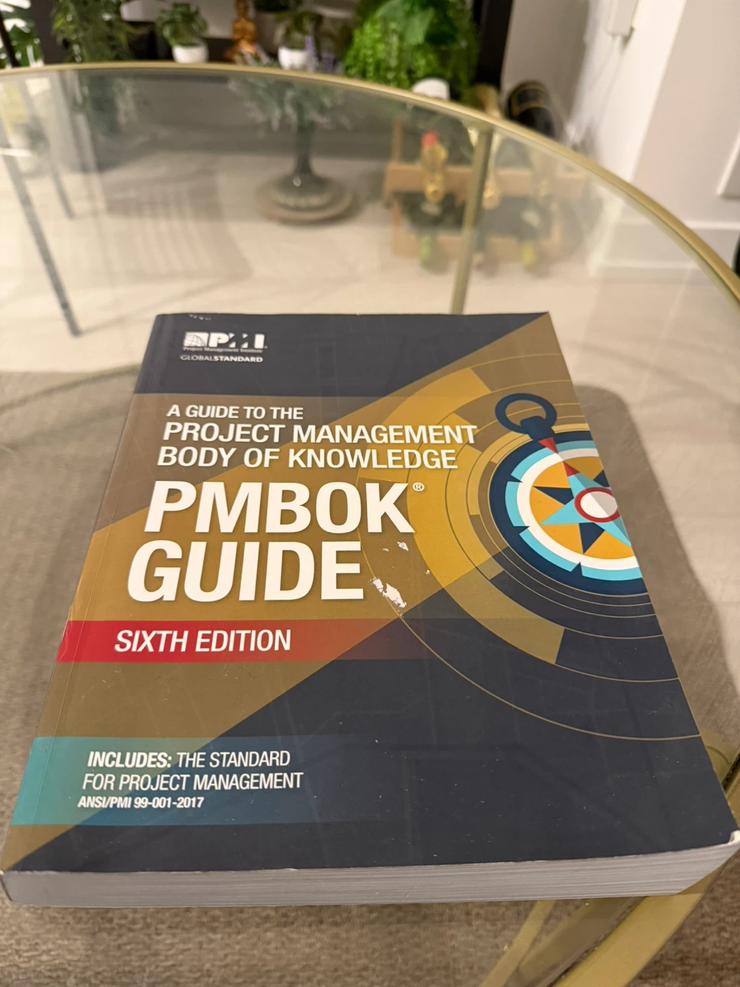 PMBOK Guide Sixth Edition