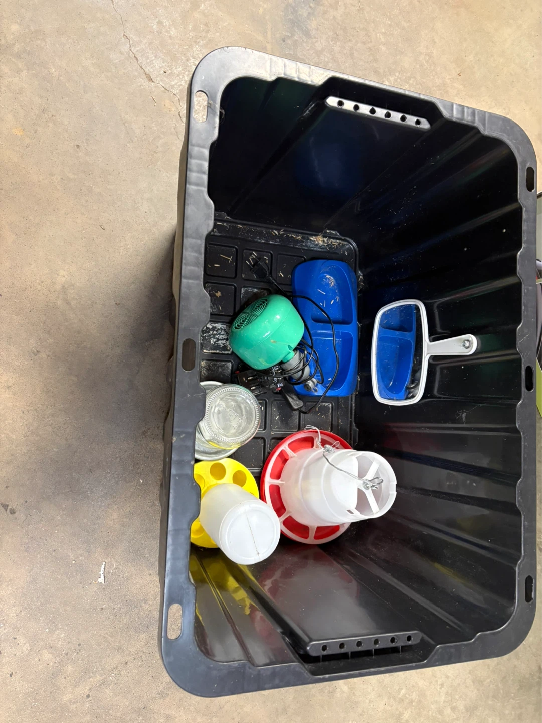 Complete brooder set up. For chicks