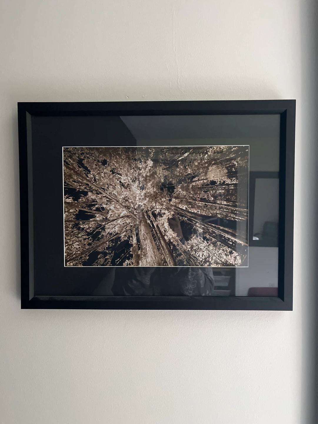 Framed Artwork Print 🌱