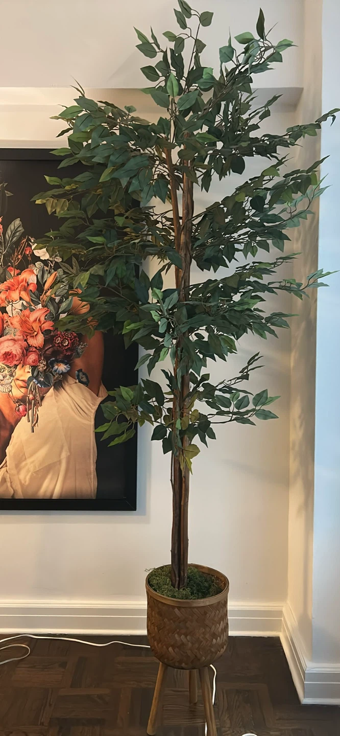 Tall Faux Ficus Tree in Woven Planter - photo 3