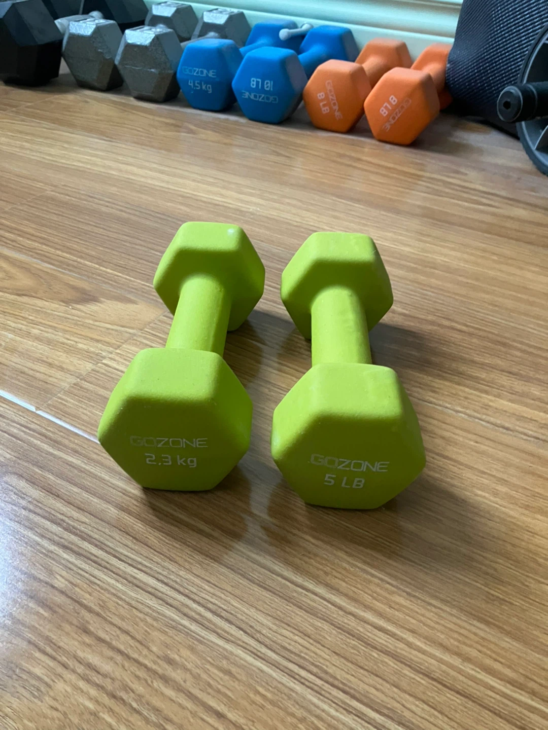 5lb dumbbells