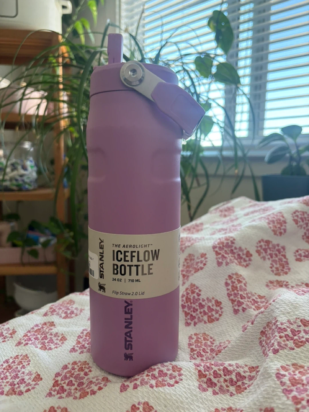 Stanley The Aeroflow IceFlow Bottle 24 oz Flip Straw 2.0 Lid