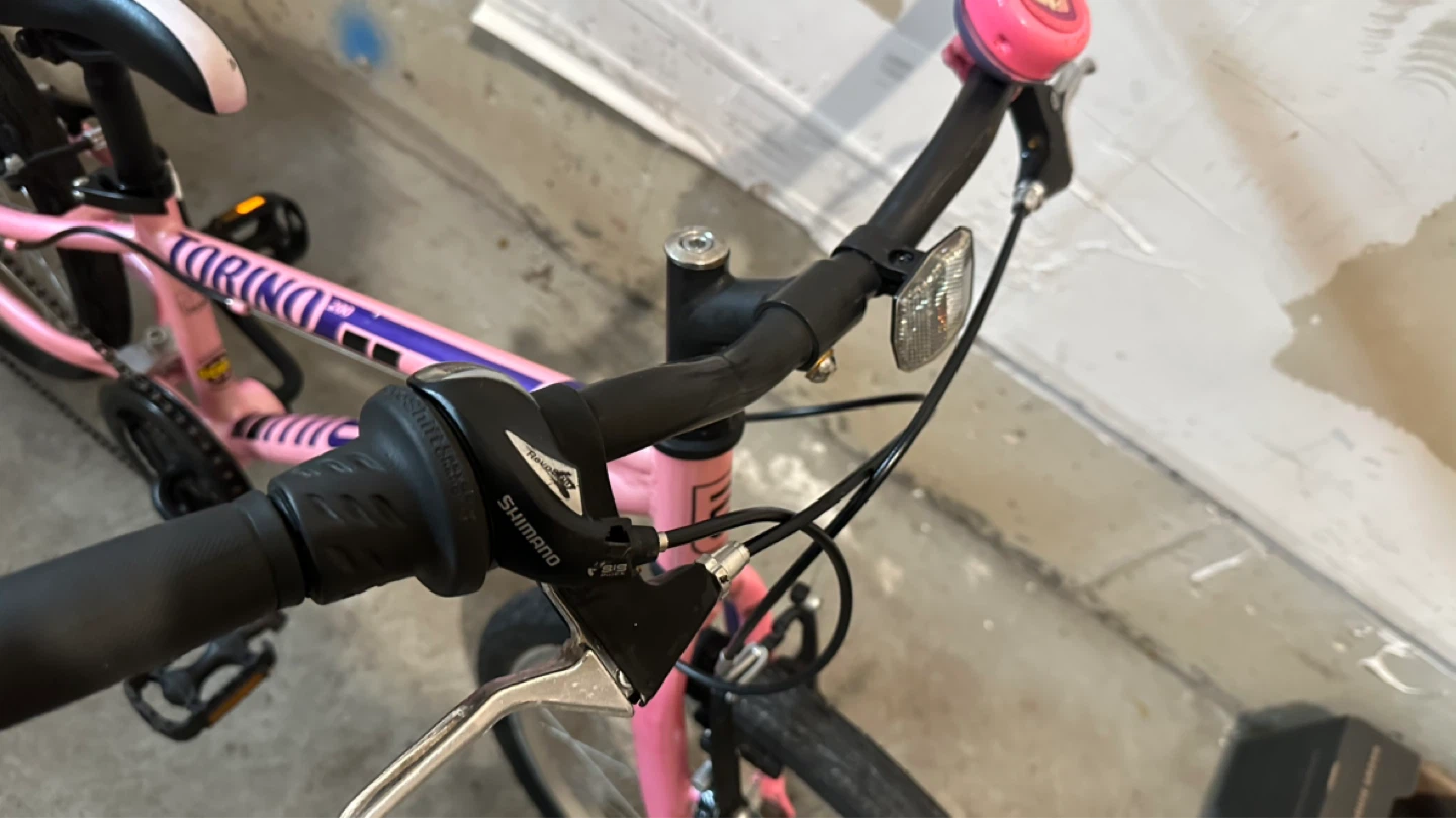 20” Miele Pink Kids Bike - photo 4