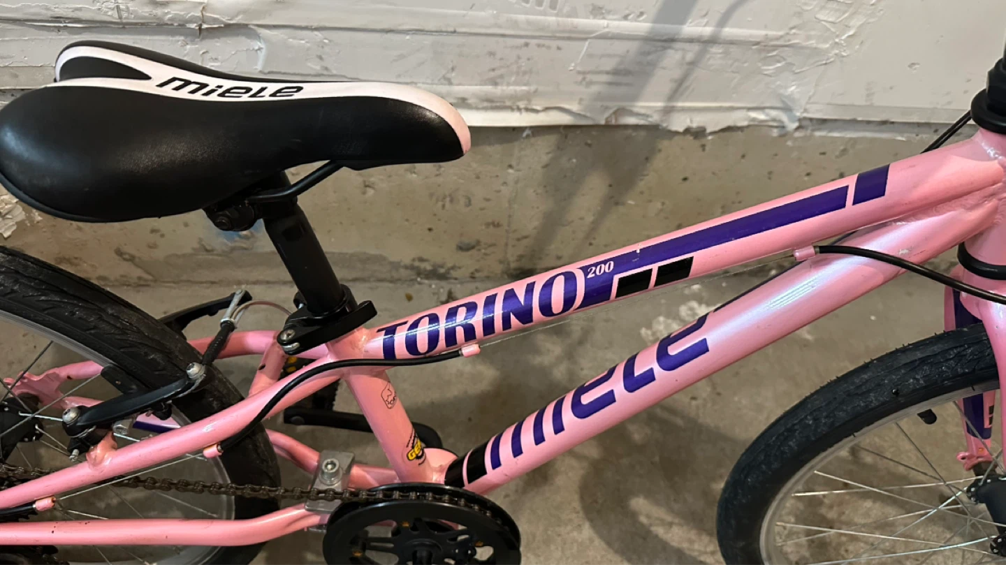 20” Miele Pink Kids Bike - photo 3