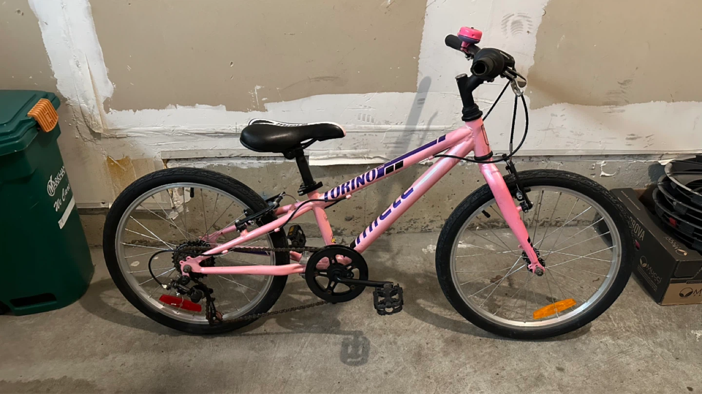 20” Miele Pink Kids Bike