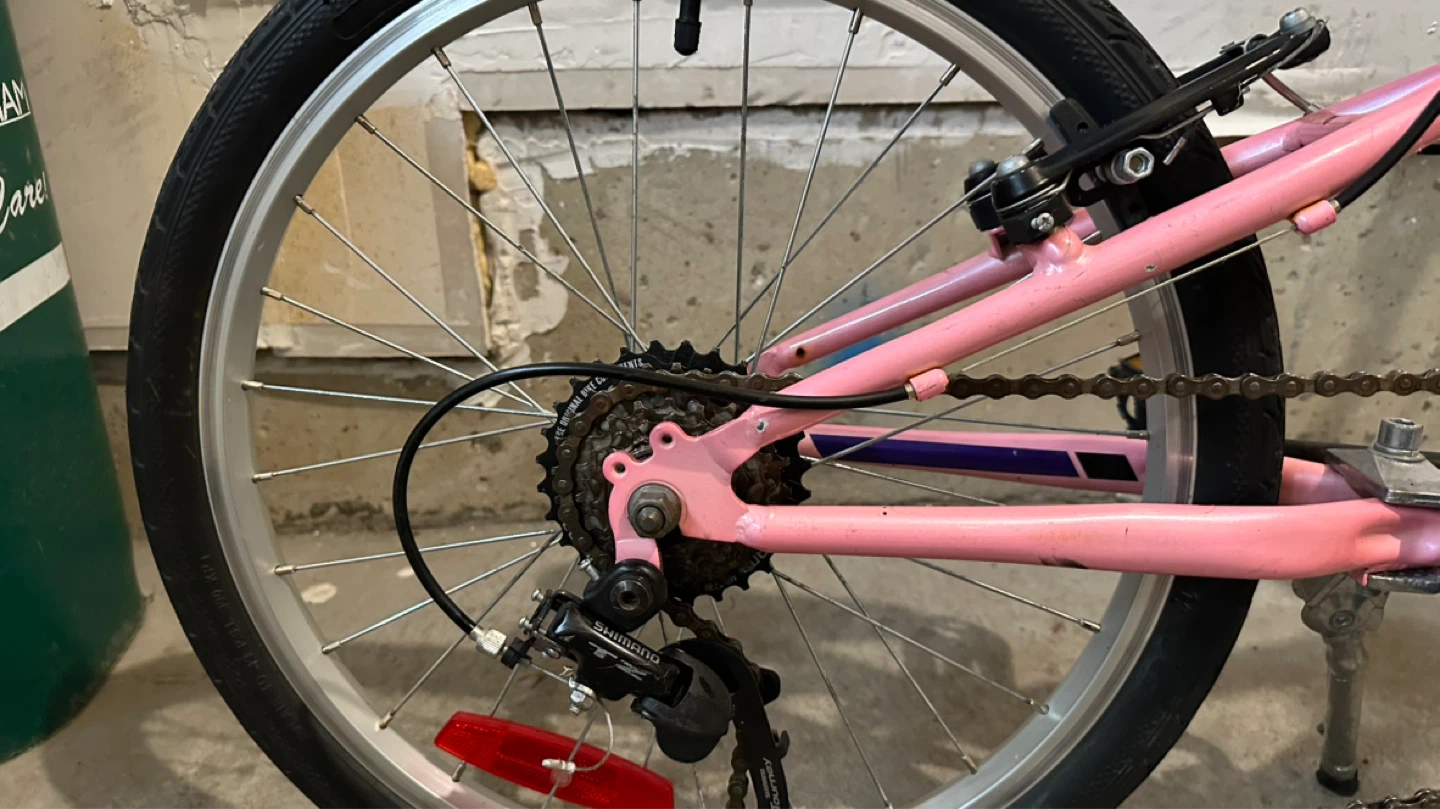 20” Miele Pink Kids Bike - photo 2