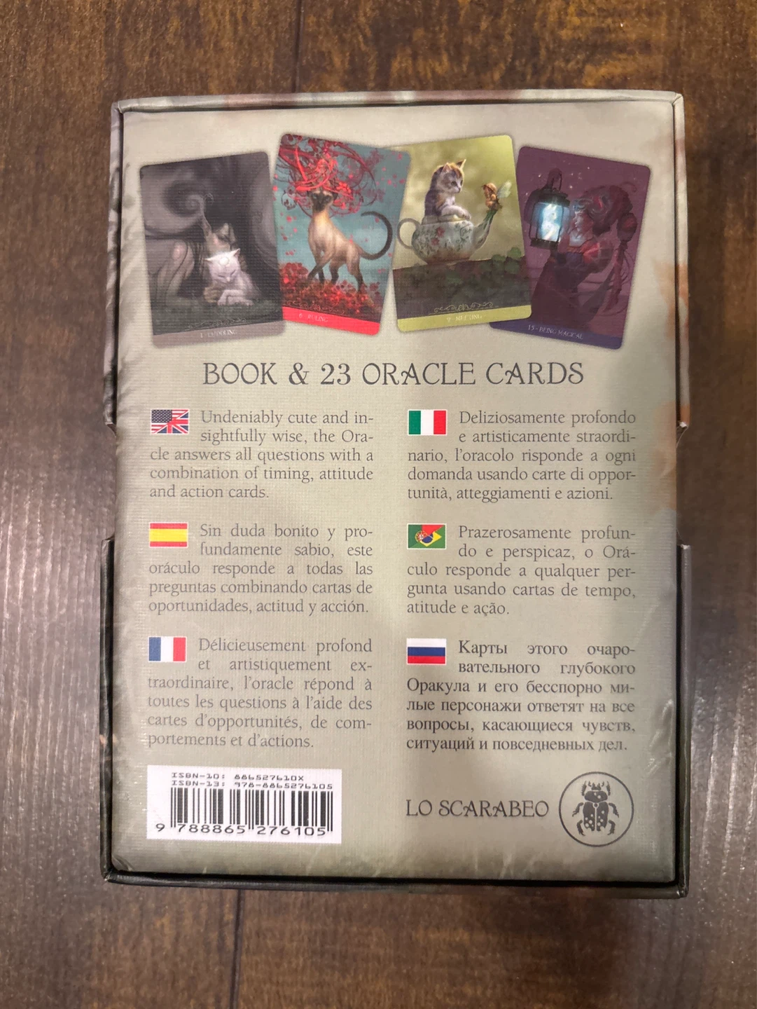 Fantasy Cats Oracle Book & 23 Cards - photo 2