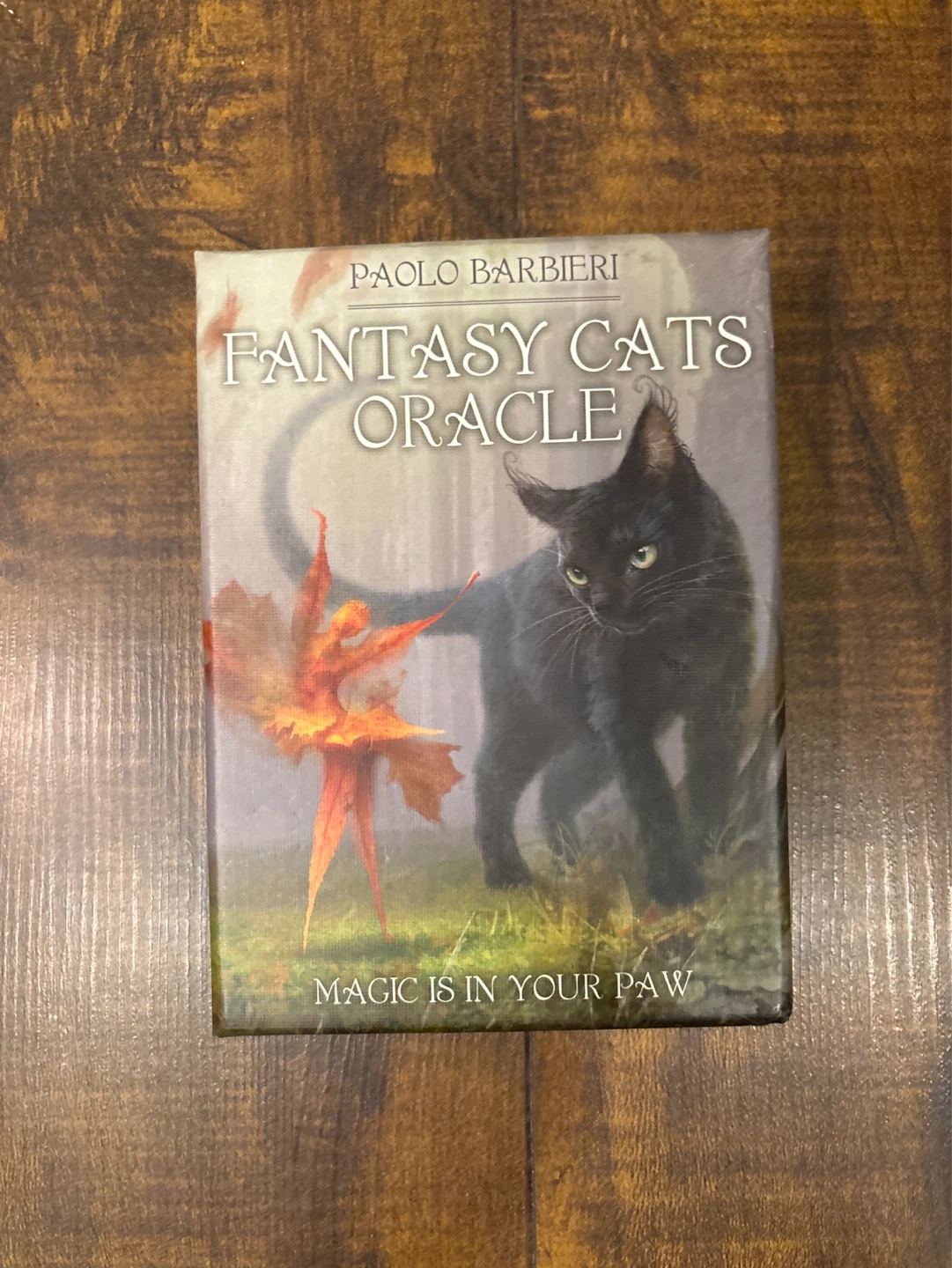 Fantasy Cats Oracle Book & 23 Cards