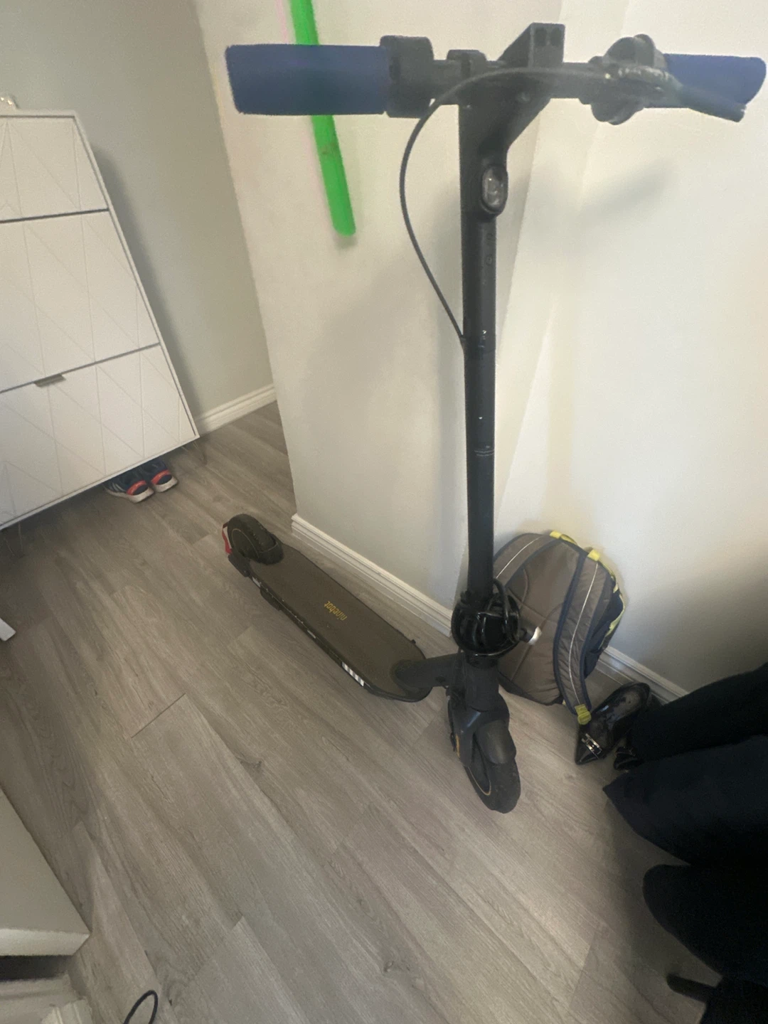 Ninebot Electric Scooter