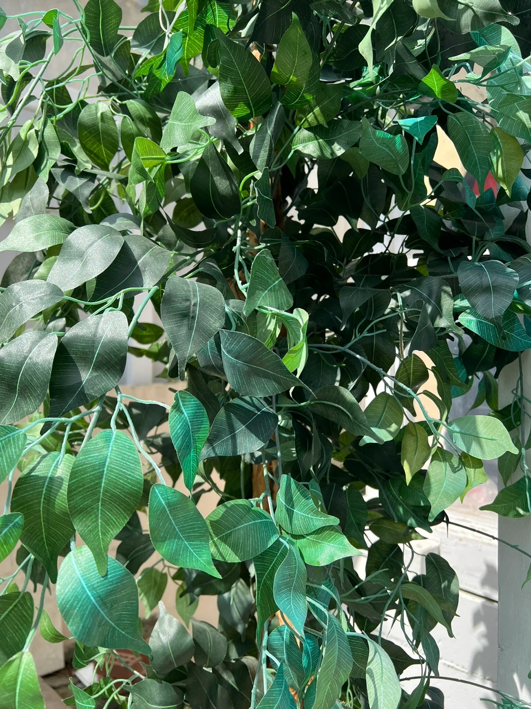 2 large Artificial Ficus Trees $160 for two - photo 4