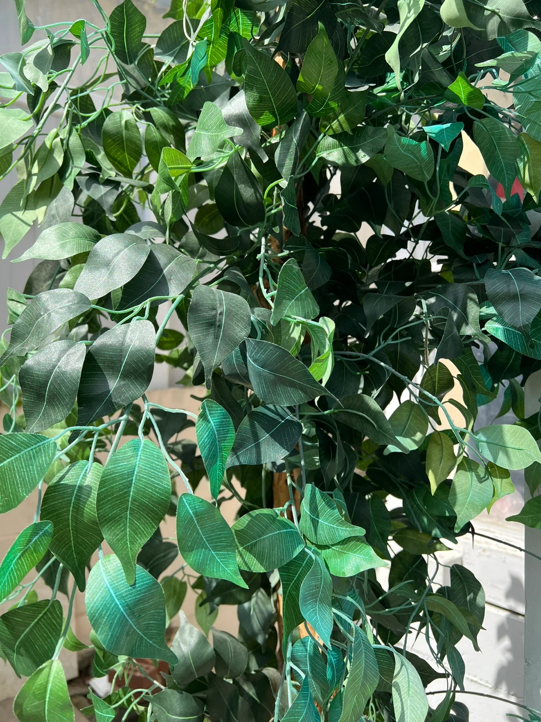 2 large Artificial Ficus Trees $160 for two - photo 5