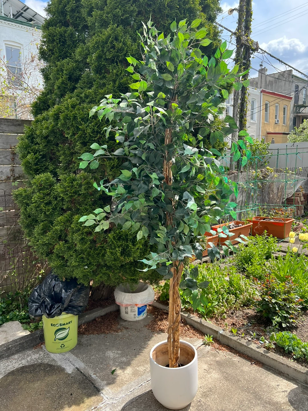 2 large Artificial Ficus Trees $160 for two - photo 2
