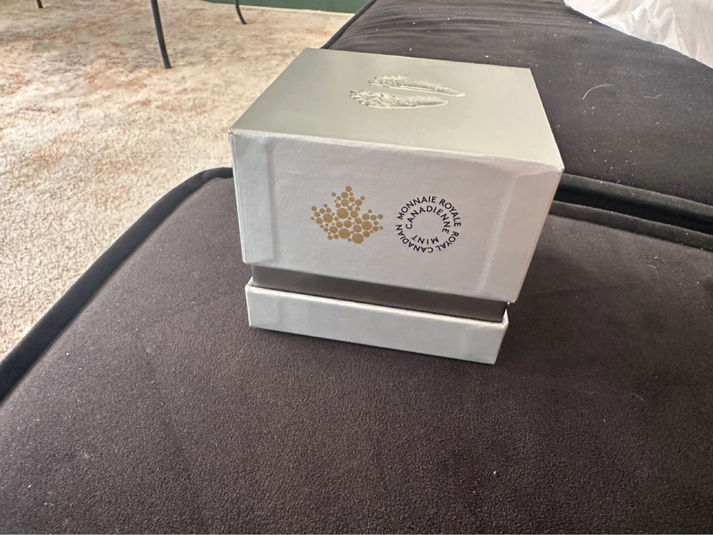 2019 $10 Fine Silver Coin - Welcome to the World - photo 3