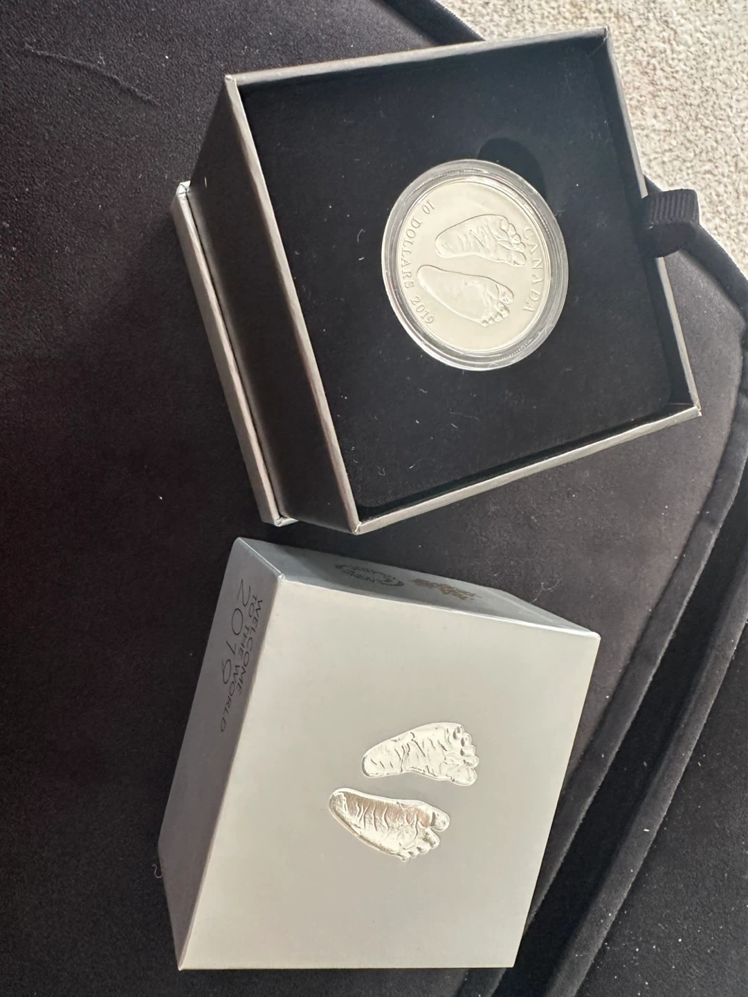 2019 $10 Fine Silver Coin - Welcome to the World