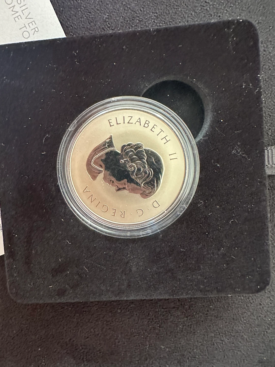 2019 $10 Fine Silver Coin - Welcome to the World - photo 2