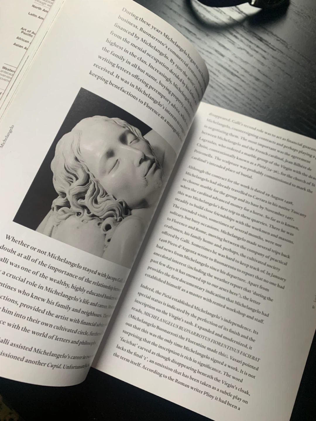 Phaidon Art Book: Michelangelo by Anthony Hughes - photo 4