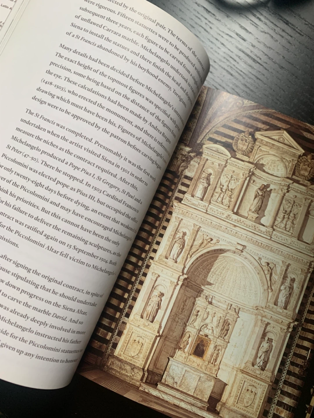 Phaidon Art Book: Michelangelo by Anthony Hughes - photo 3