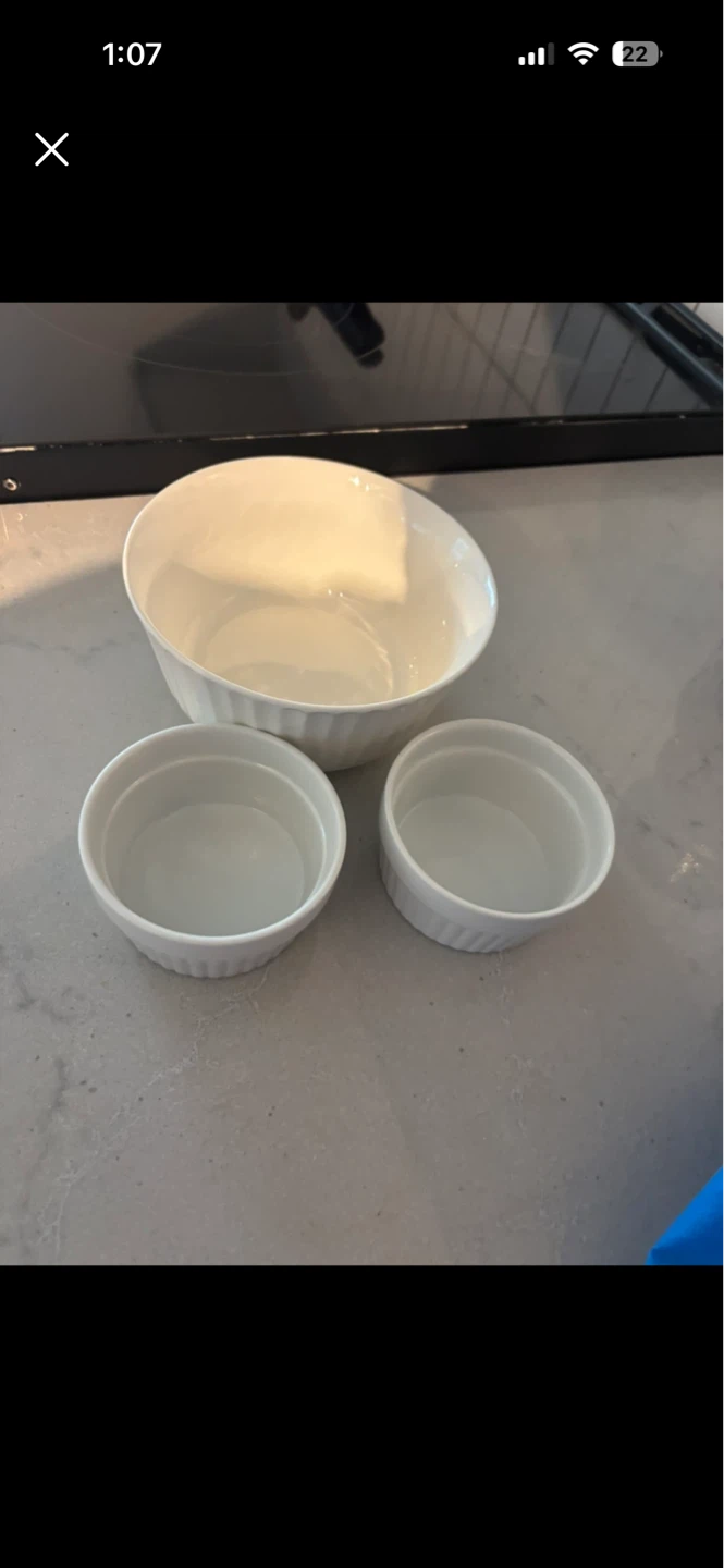 Dinner Plates and Ramekins Set - photo 2