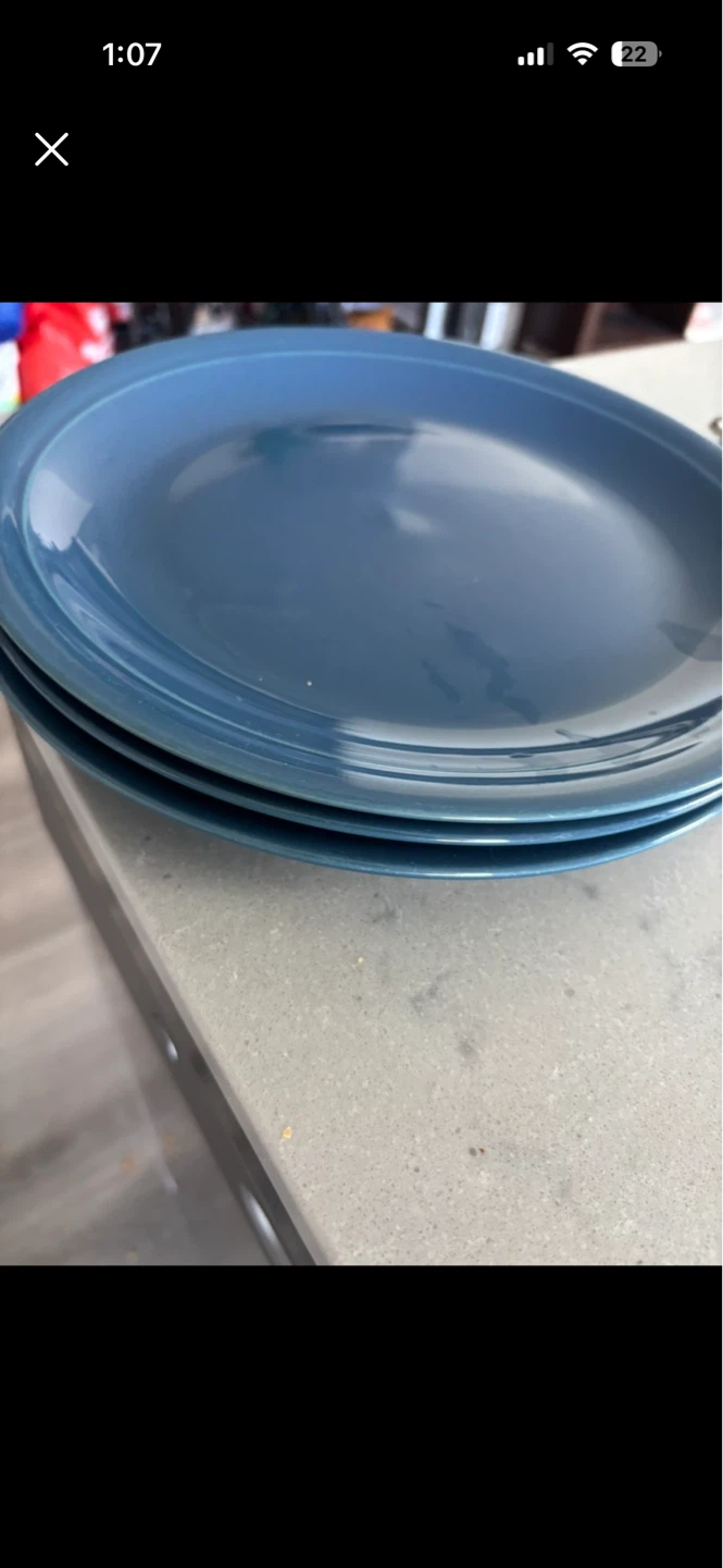 Dinner Plates and Ramekins Set - photo 4
