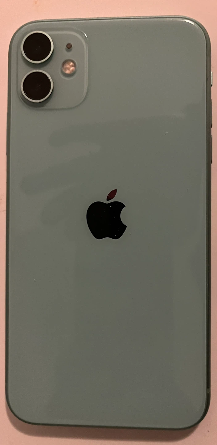 Apple iPhone 11 with Casetify Floral Case - photo 2