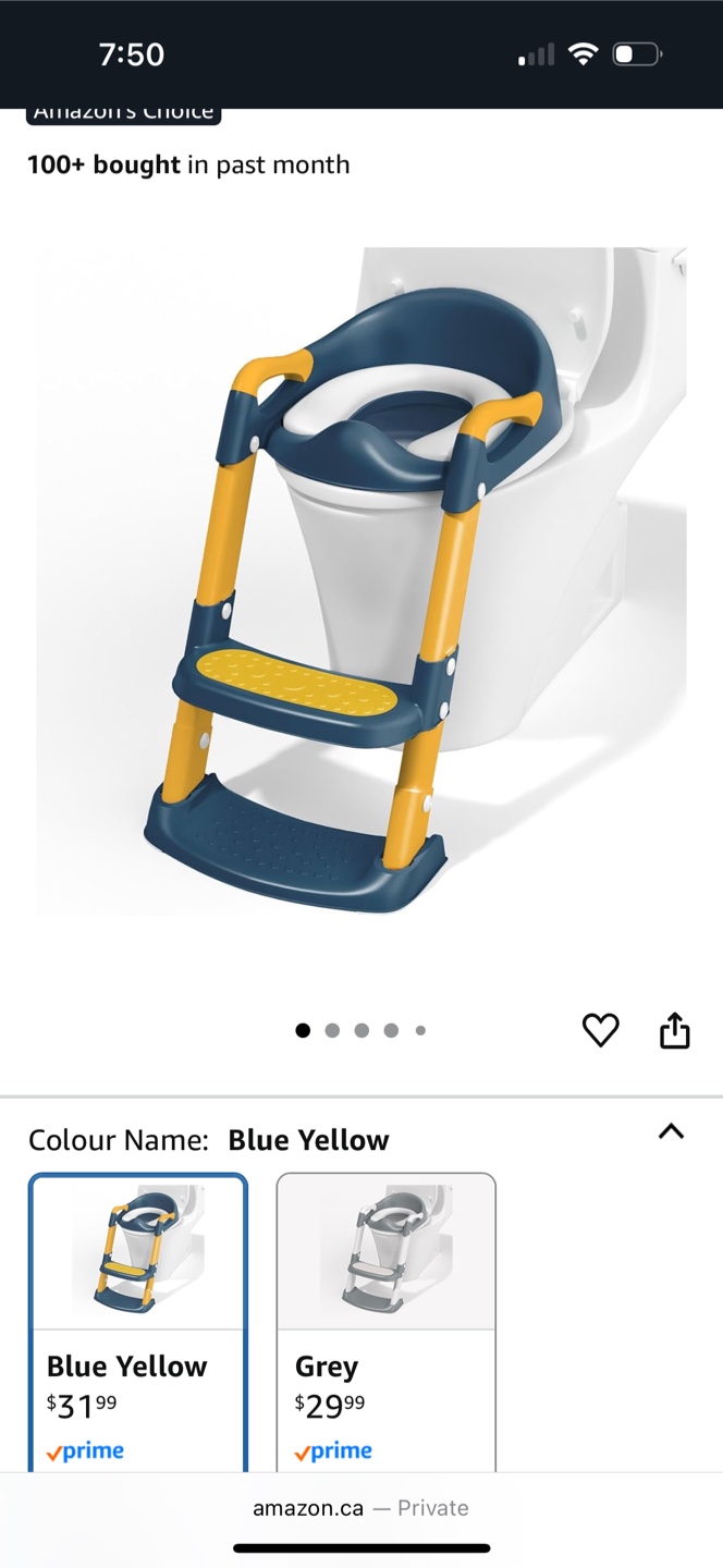 Potty Training Seat with Ladder - photo 3