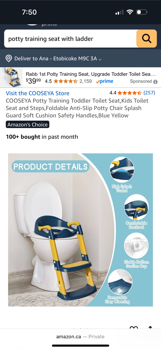 Potty Training Seat with Ladder - photo 4