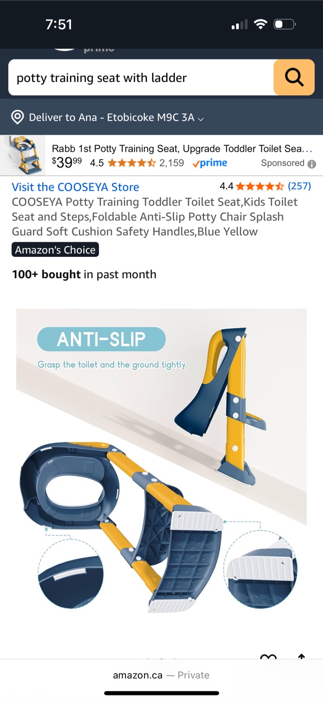 Potty Training Seat with Ladder - photo 5