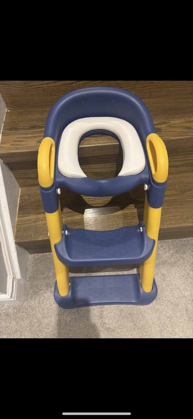 Potty Training Seat with Ladder