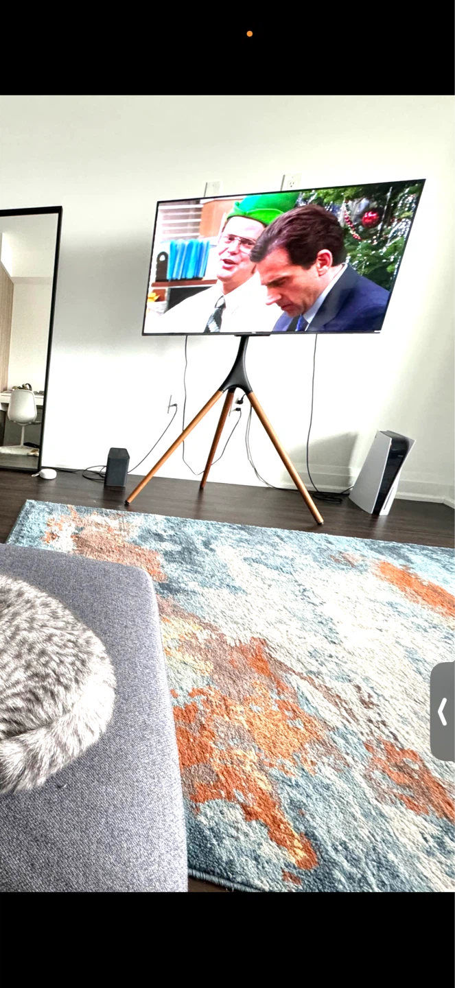 TV Stand with Wooden Legs