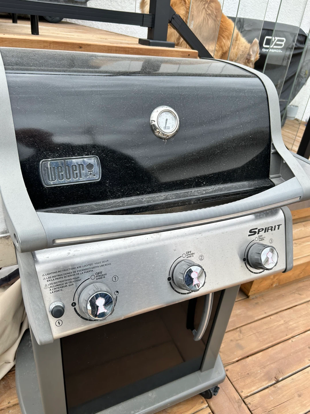 Weber BBQ