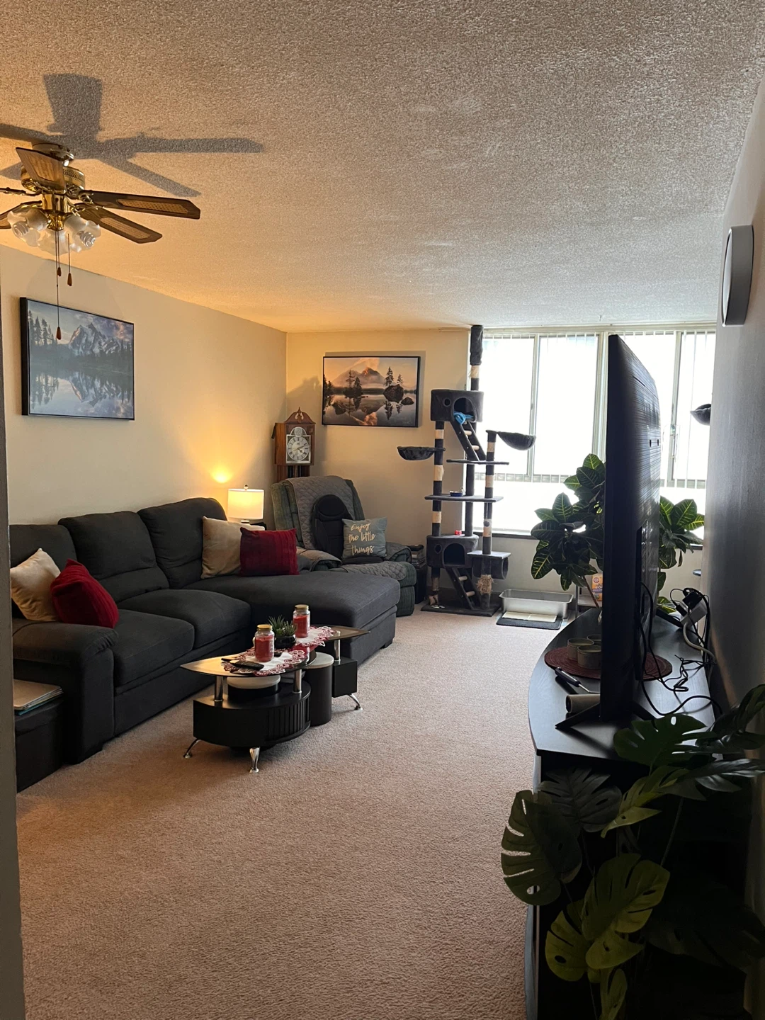 Private Room for Rent- Fully Furnished - photo 5