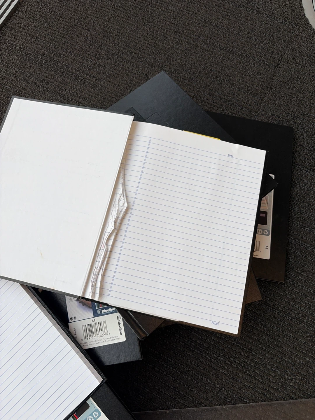 🌱 Blueline Notebooks (A9 Size) and two other sizes - photo 3