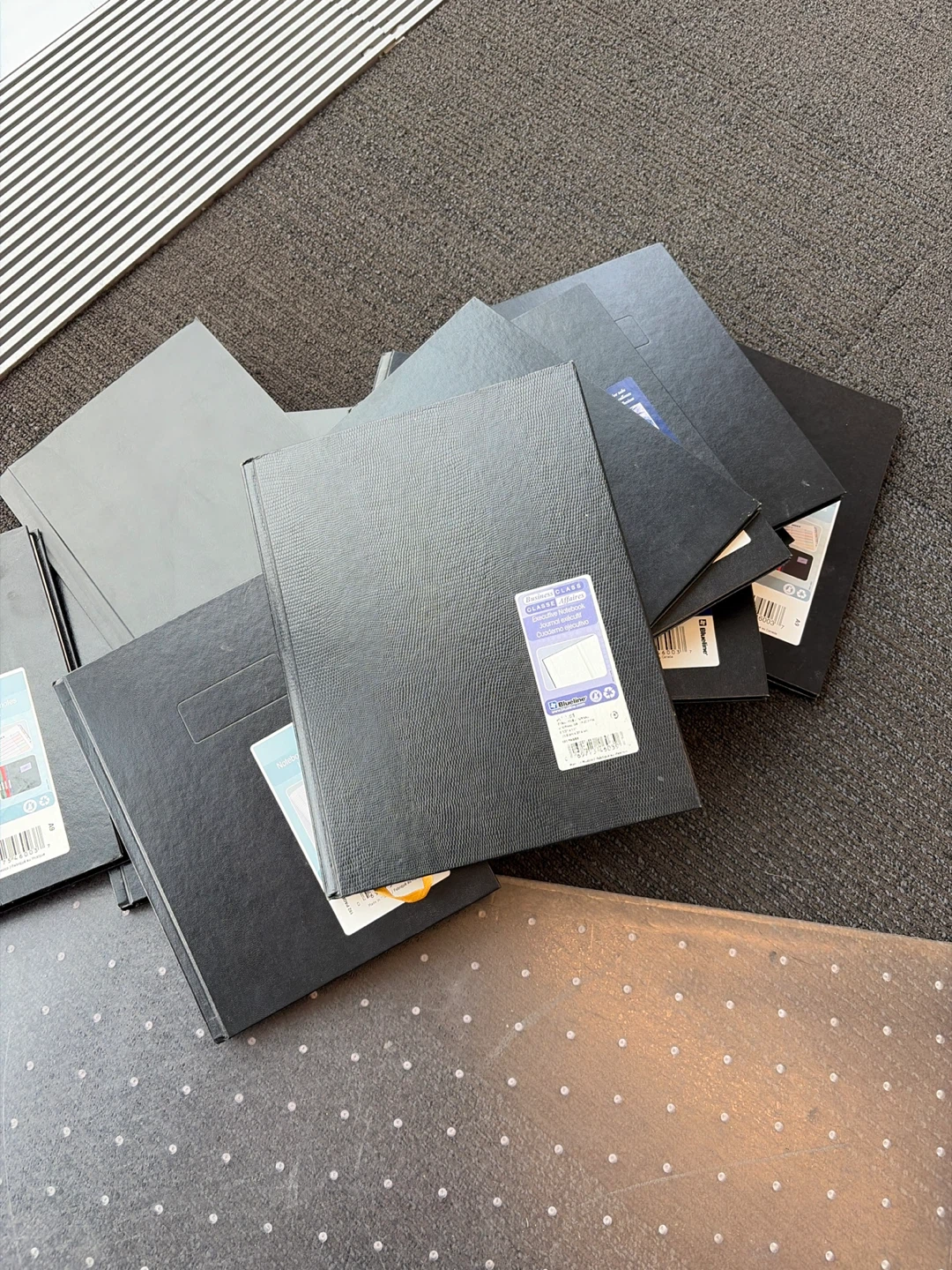 🌱 Blueline Notebooks (A9 Size) and two other sizes
