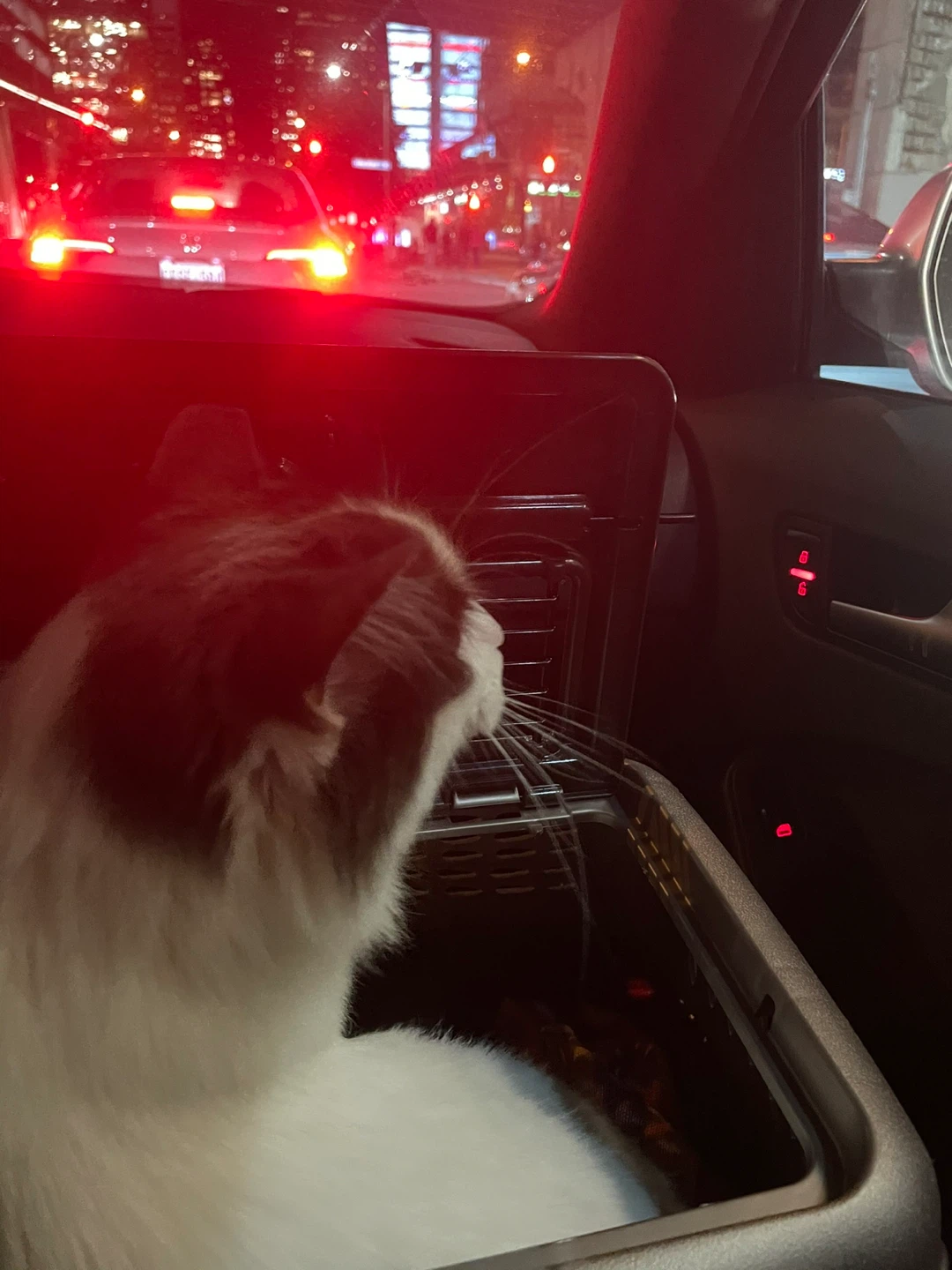 Pet Carrier - photo 3