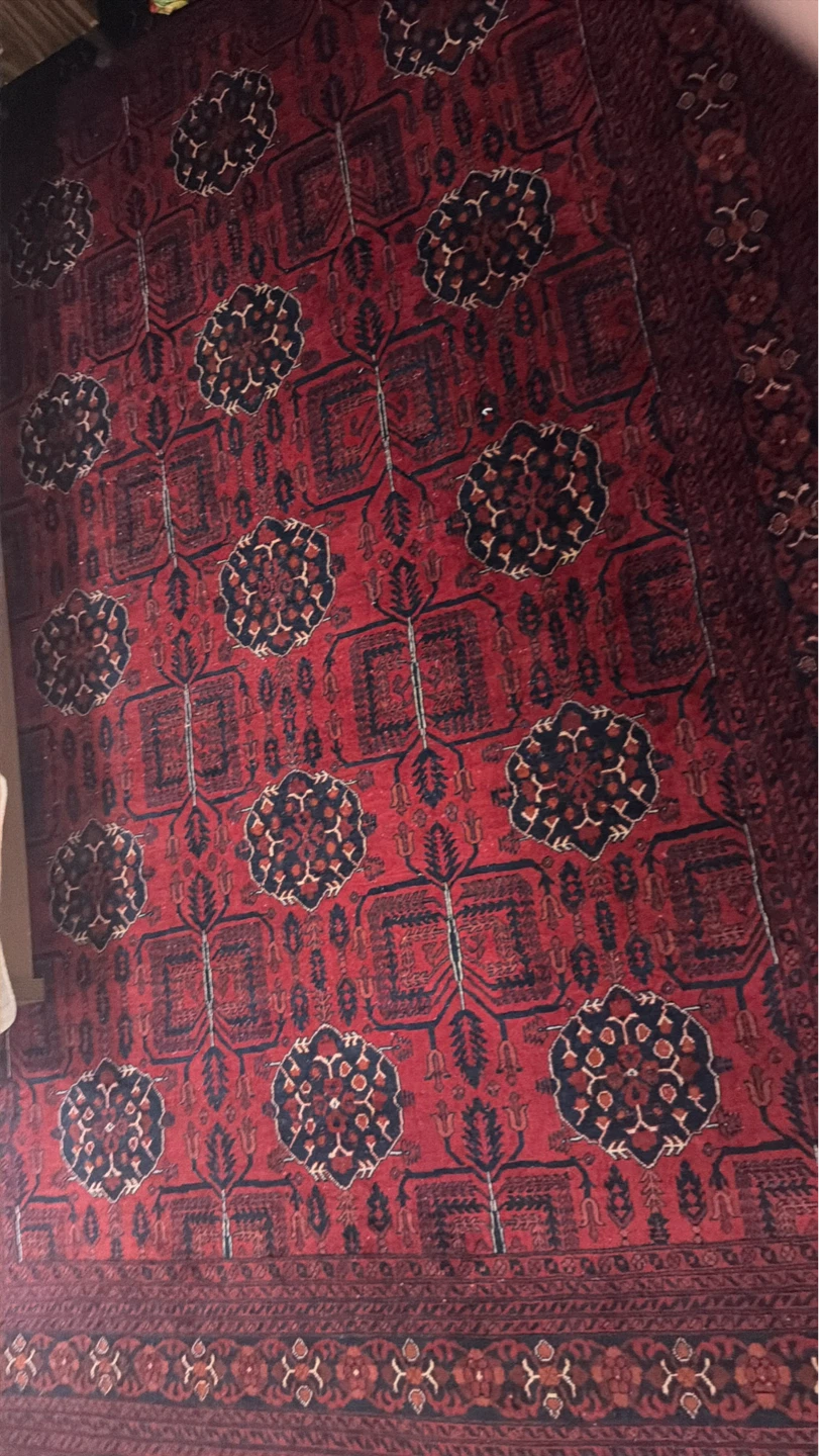 Red Oriental Area Rug - photo 4