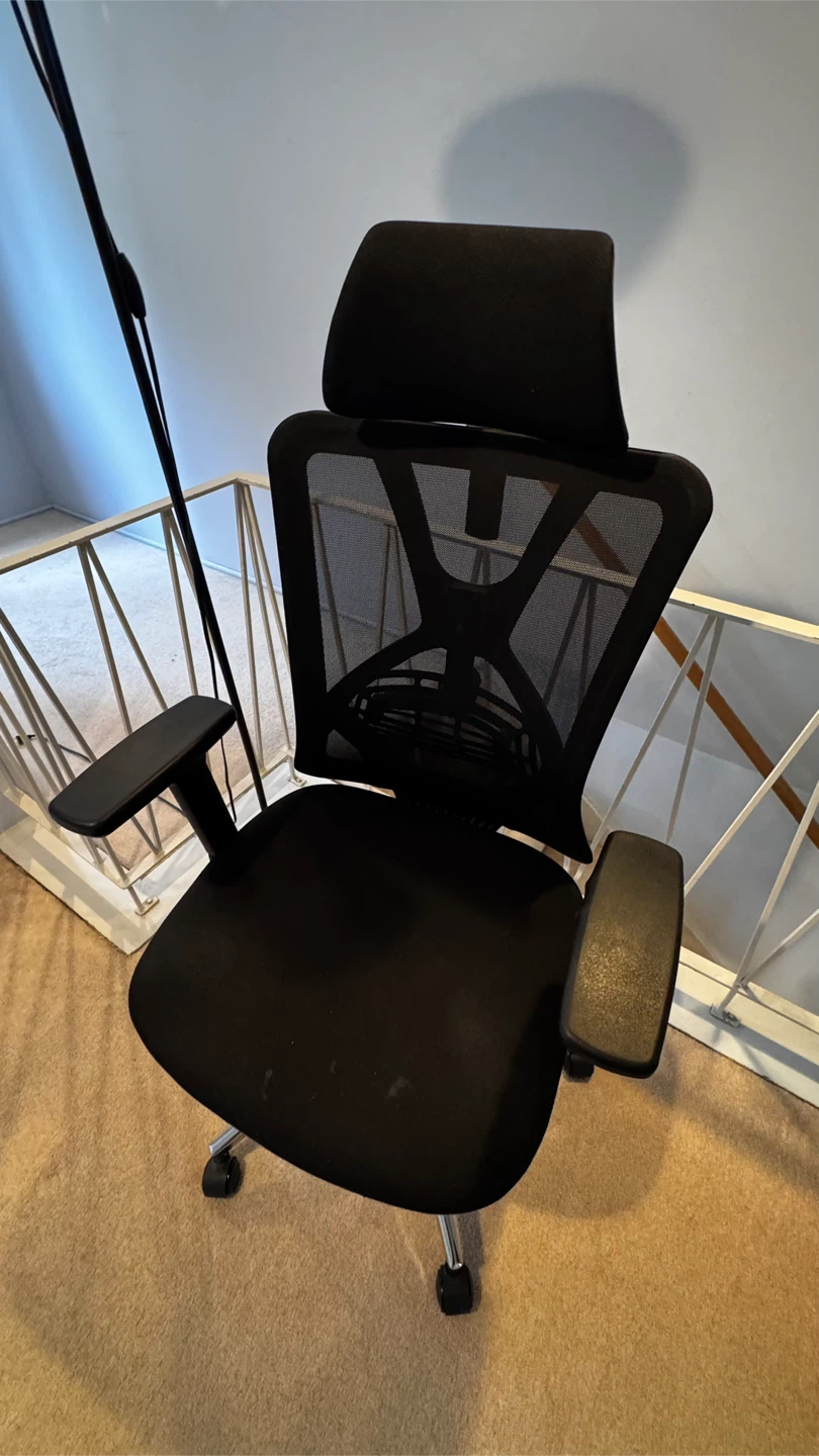 Black Ergonomic Office Chair with Headrest