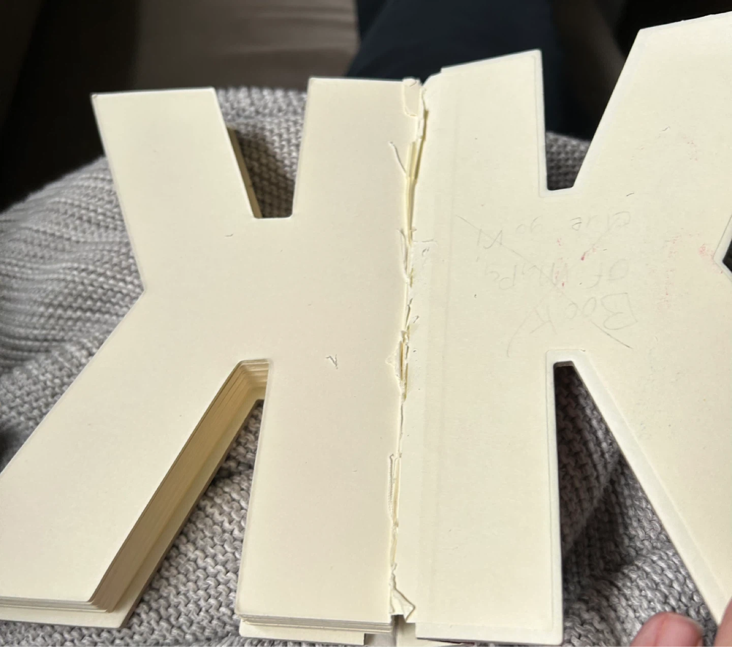 🌱Letter K Book - photo 4