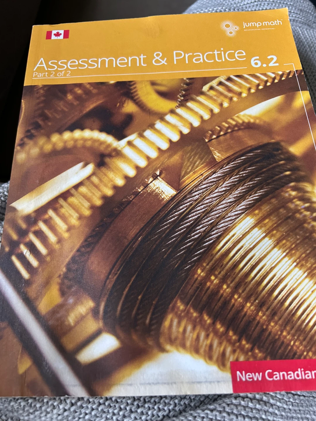 🌱Jump Math Assessment & Practice Book 6.2