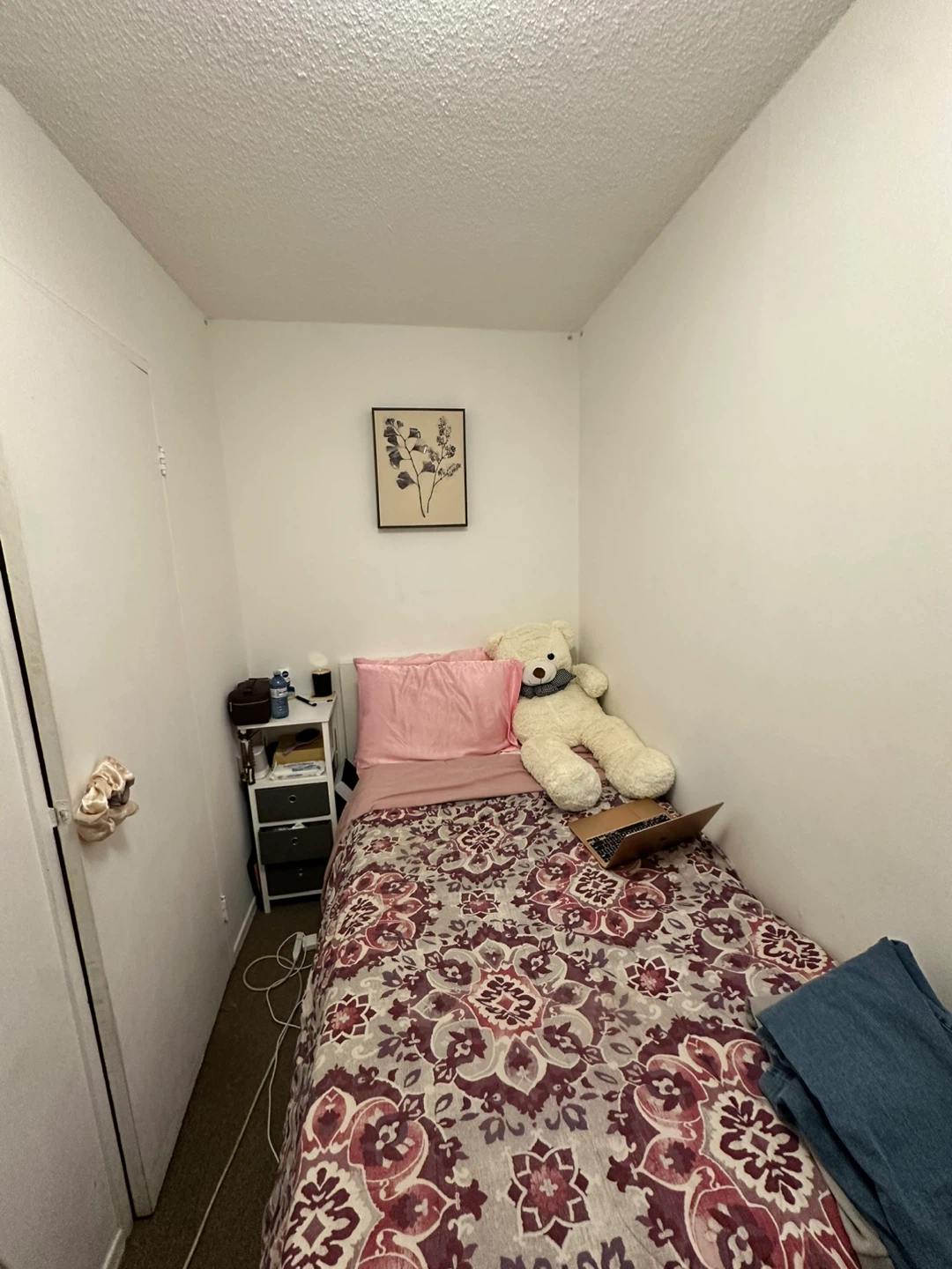 Fully Furnished Den (Female Only) – Available June 1 – $500