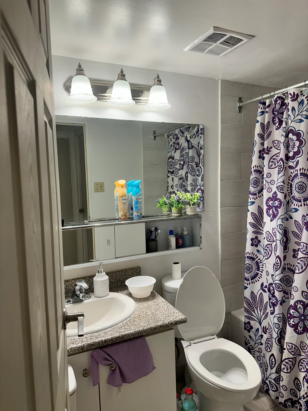 Fully Furnished Den (Female Only) – Available June 1 – $500 - photo 4