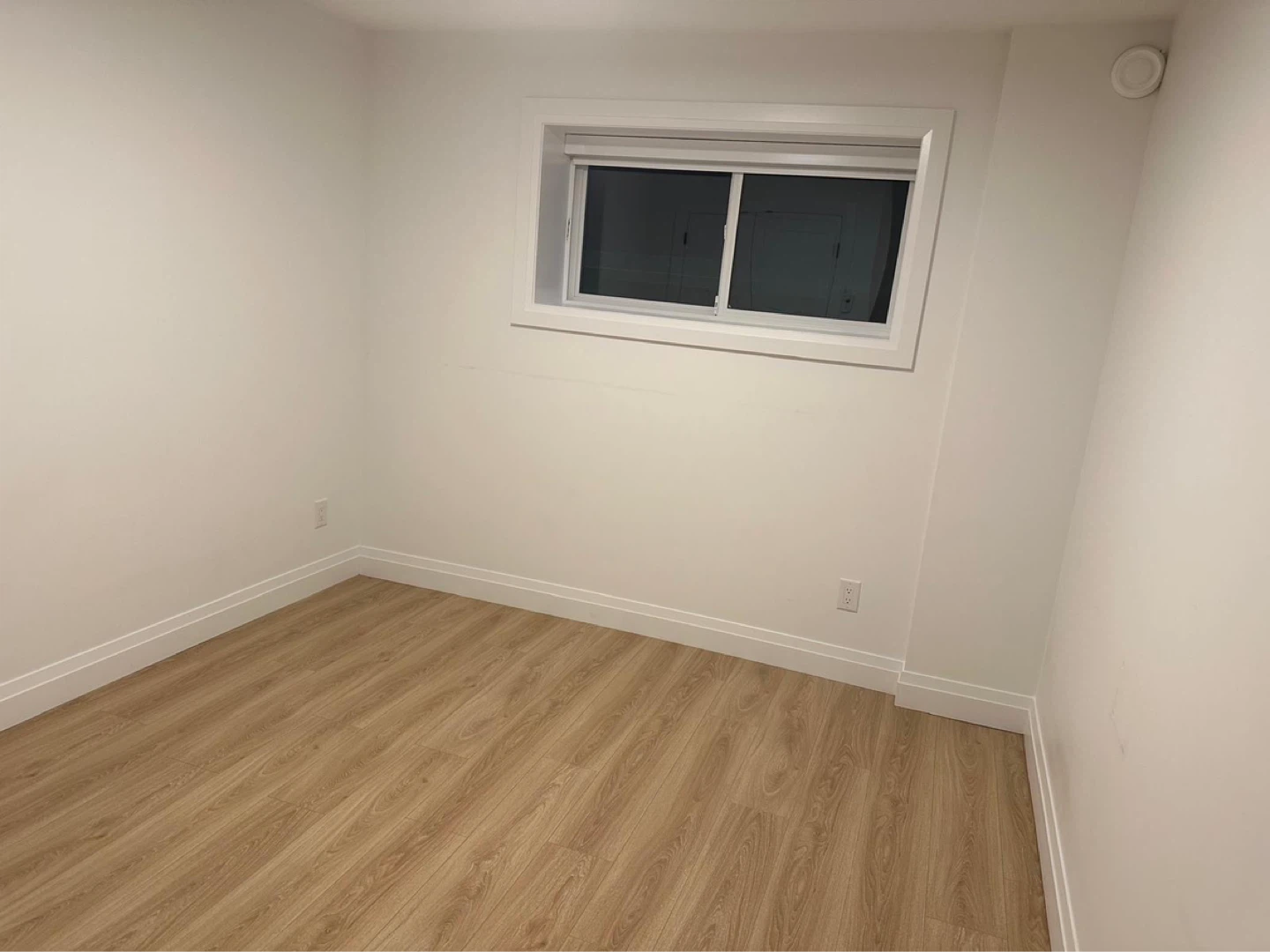 Spacious 1 Bed 1 Bath Basement Suite For Rent - photo 4