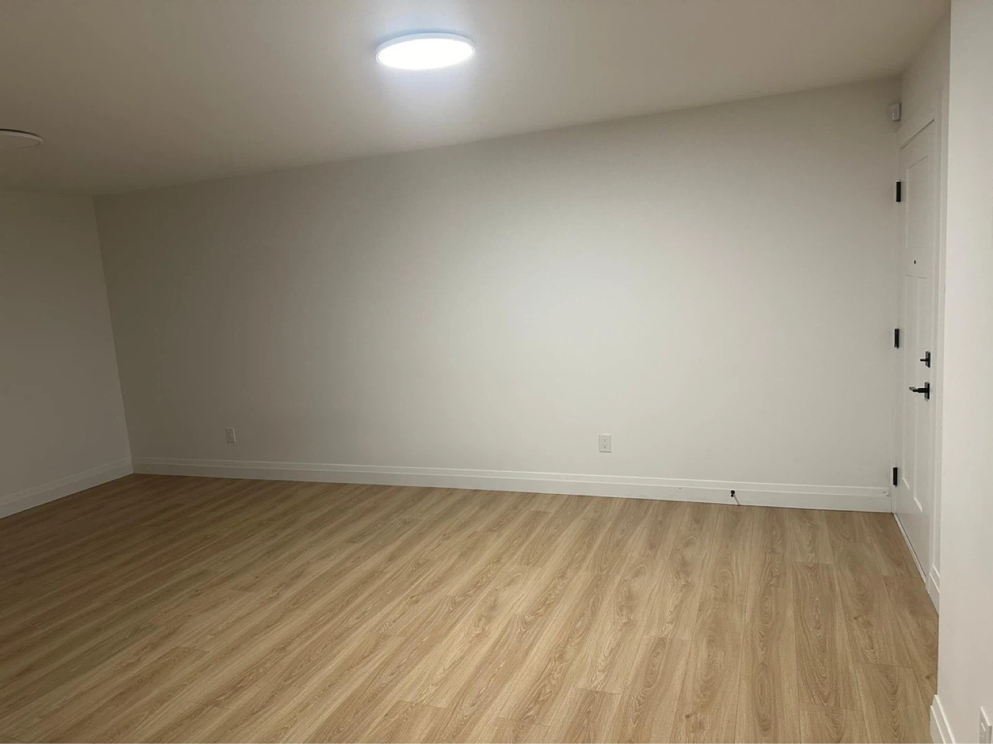 Spacious 1 Bed 1 Bath Basement Suite For Rent - photo 3