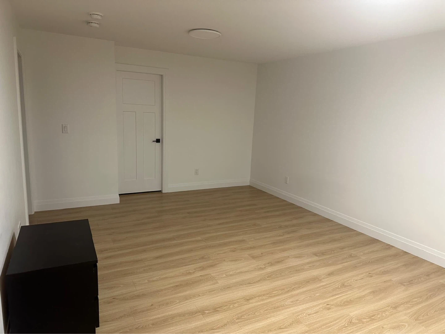 Spacious 1 Bed 1 Bath Basement Suite For Rent - photo 2