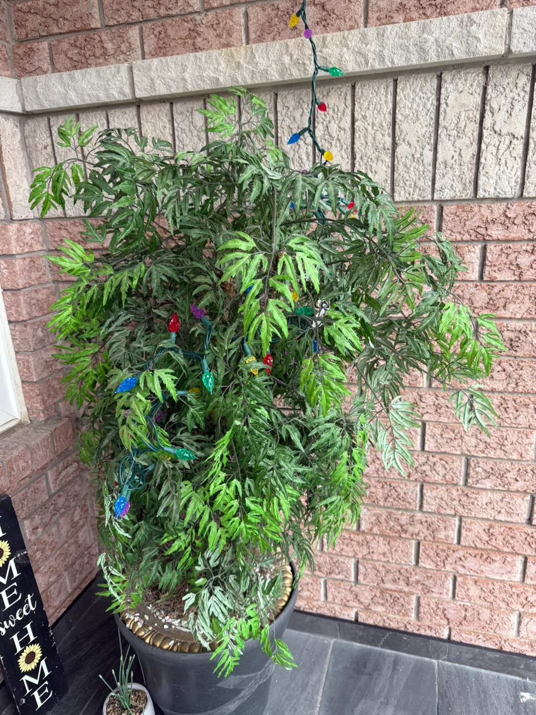 Huge faux plant