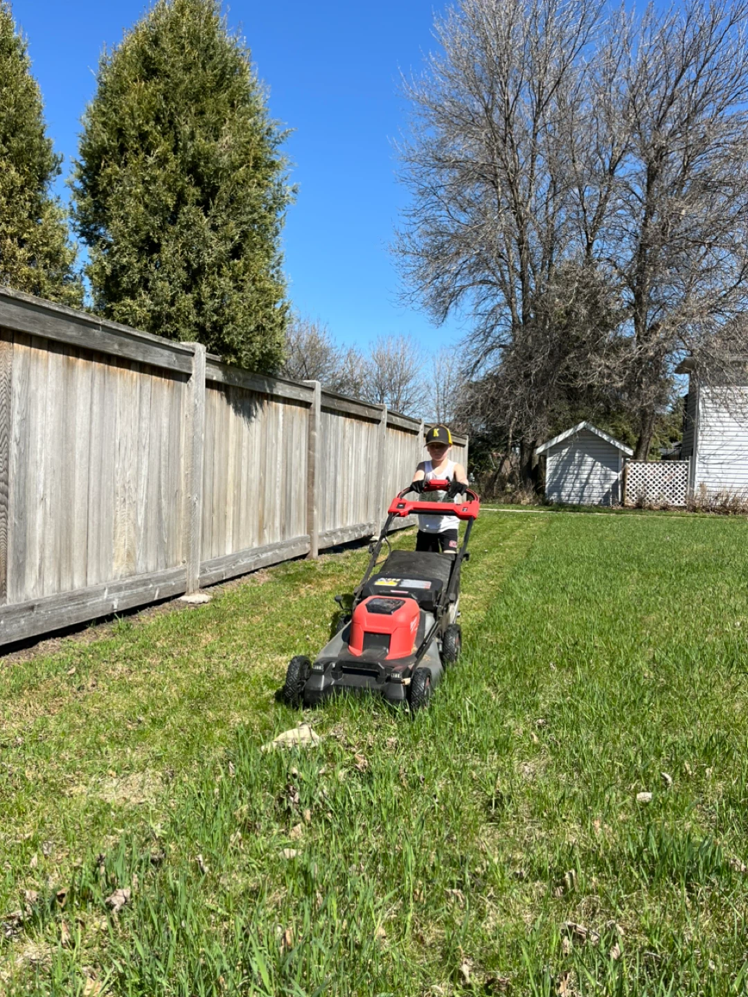 The New Kid Lawncare - photo 2
