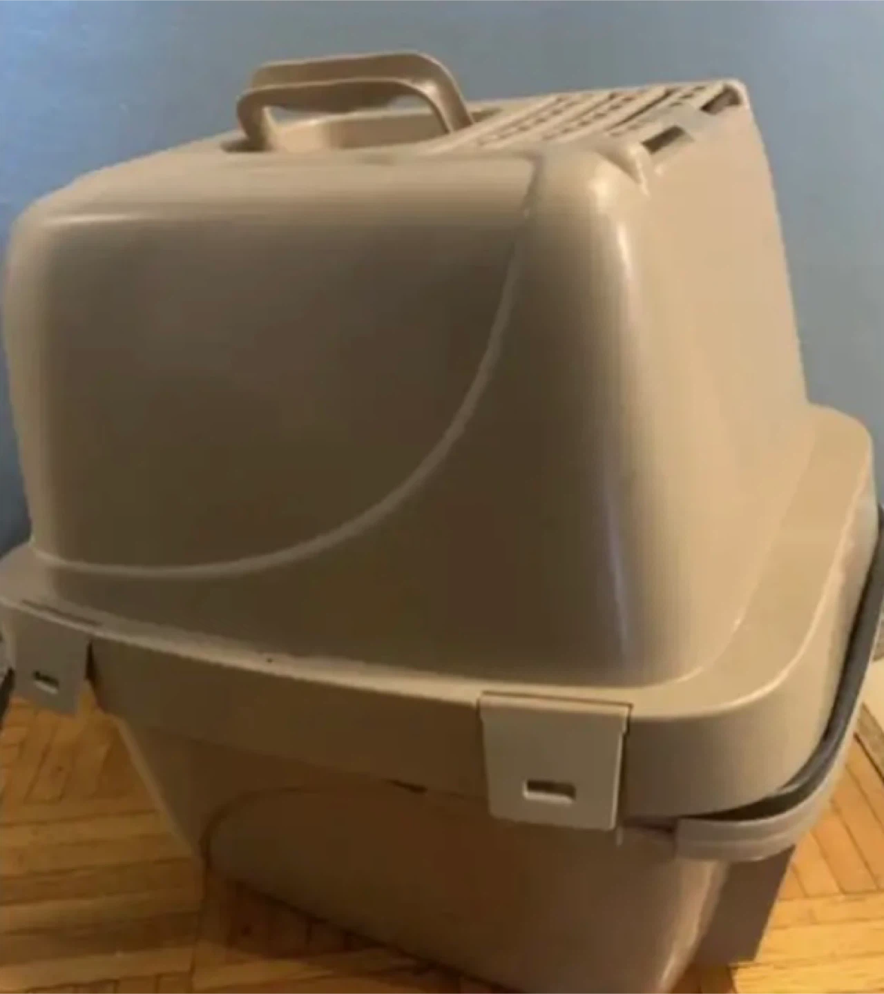 Covered Litter Box with Handle